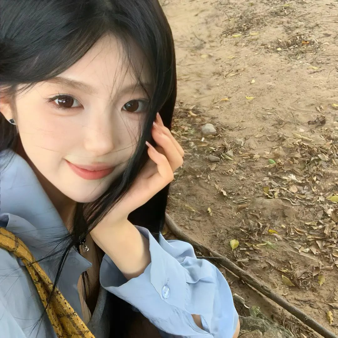 灿烂的外母粤语封面